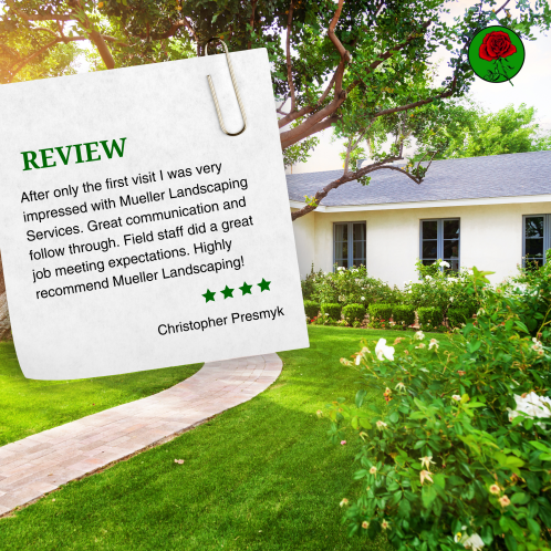 MuelleLandscape's tweet photo. We are so grateful for your kind words, Christopher! ๐ Thank you for taking the time to share your experience with #MuellerLandscape Services.ย
Our team takes great pride in providing top-notch communication, follow-through, and service.ย
#LawnCareHeroes #HappyCustomer https://t.co/IXv6QDzTgN