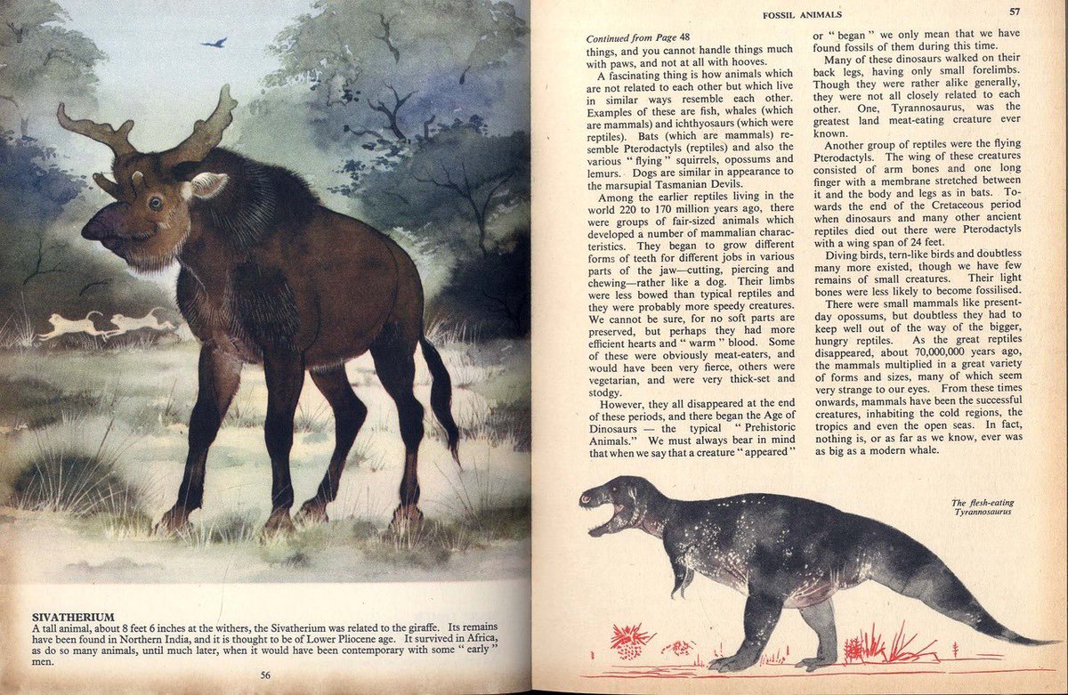 ausar_the's tweet photo. Maurice Wilson is a new name for me actually, never heard much of him before.

His art style isn’t quite like anything else I’ve seen in any other paleoart. https://t.co/qdYgFolASQ