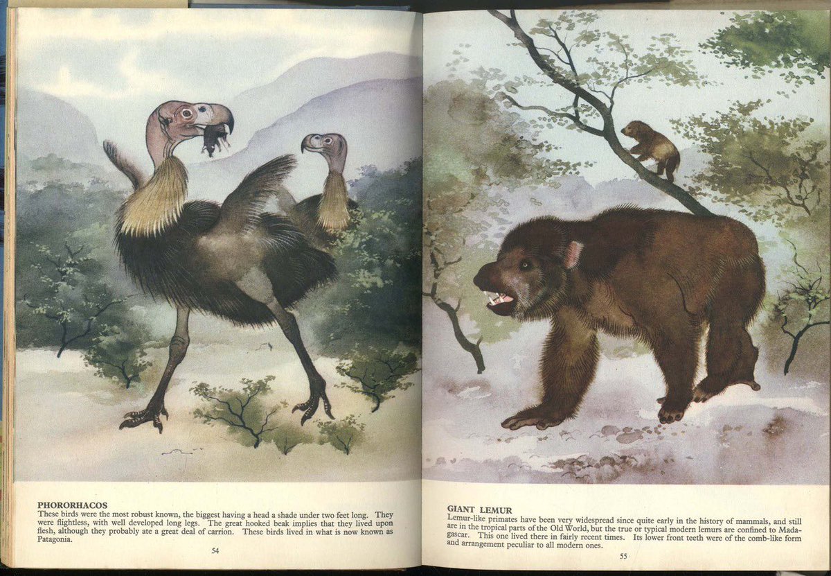 ausar_the's tweet photo. Maurice Wilson is a new name for me actually, never heard much of him before.

His art style isn’t quite like anything else I’ve seen in any other paleoart. https://t.co/qdYgFolASQ