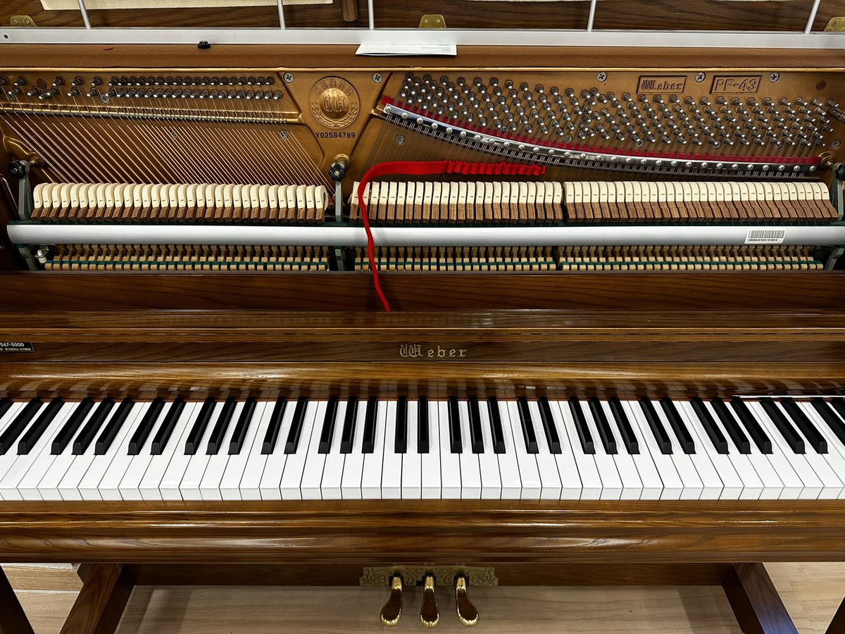 2024年 6月 26日 
인천 남동구 만수동 성광교회 영창웨버피아노 PF-43 조율 해머스톱 전체조정 

조율코리아
══➨►  #전공자전문조율업체
#調律師 #ピアノ調律  #ピアノ調律師 #피아노운반  
#청라피아노조율
#용인피아노조율 
#서울피아노조율
#동탄피아노조율
#수원피아노조율
#인천피아노조율