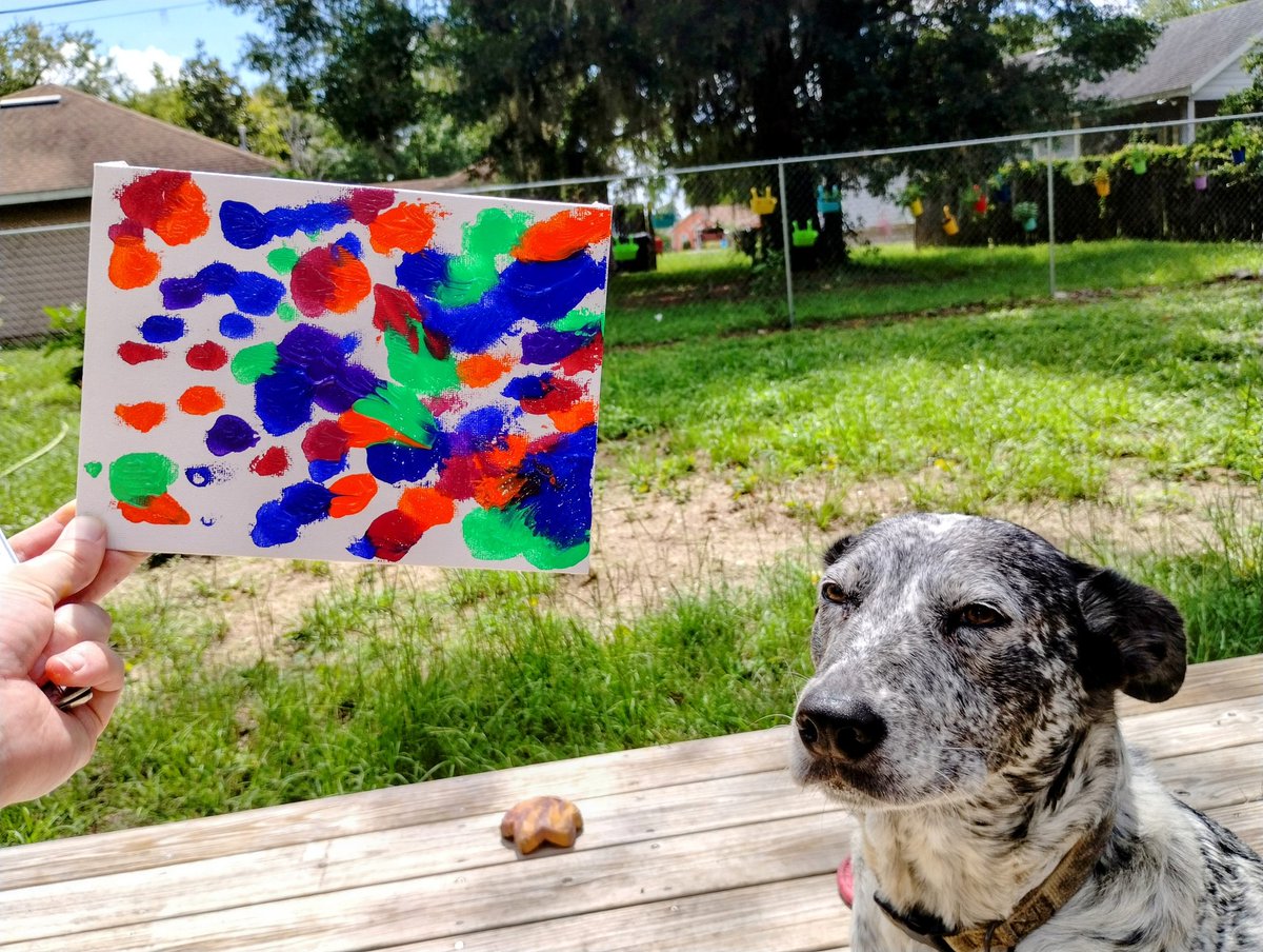 Adairtris's tweet photo. Art projects! #prouddog #artists #peanutbutter #rottweiler #blueheeler #dogsofx #talent #dogart #art #painting #dogs https://t.co/1yMmcPSj97