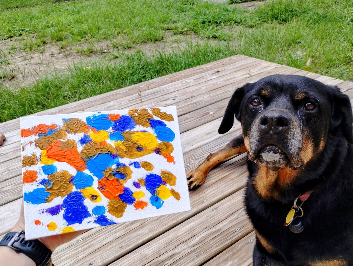 Adairtris's tweet photo. Art projects! #prouddog #artists #peanutbutter #rottweiler #blueheeler #dogsofx #talent #dogart #art #painting #dogs https://t.co/1yMmcPSj97