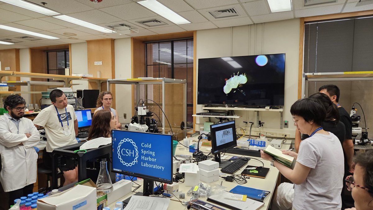 Tim Mosca (he/him) (@drosophilosophy) on Twitter photo the student has truly become the teacher. <a href="/lforencia/">Florencia Fernández Chiappe</a> offers a master class in dissecting the adult brain and preparing for ex vivo patch recordings! #cshldros24 <a href="/CSHLflycourse/">CSHLflyneurocourse</a> the student has truly become the teacher. <a href="/lforencia/">Florencia Fernández Chiappe</a> offers a master class in dissecting the adult brain and preparing for ex vivo patch recordings! #cshldros24 <a href="/CSHLflycourse/">CSHLflyneurocourse</a>