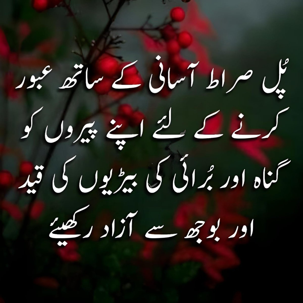 یاد رکھیں زندگی ایک ہی بار آپ کو
 مخلص شخص سے نوزاتی ہے ۔💯