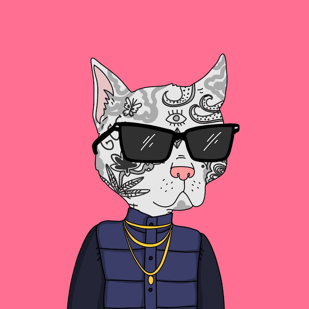 perles_sarah's tweet photo. #KittensMafia
🐈supplay : 333
💰price : 0 SOL
Mint Link : https://t.co/zmU8K7rTPe
Get Your Kittens For Free Guys .
#Solana #SOL #SolanaProjects #Solanamecoin #Solanasummer24 #solanatoken #SolanaAirdrop #NFTdrops #NFTTrading #NFTRex #NFTInvestment #NFT_Commune https://t.co/AxaCvSTPOY
