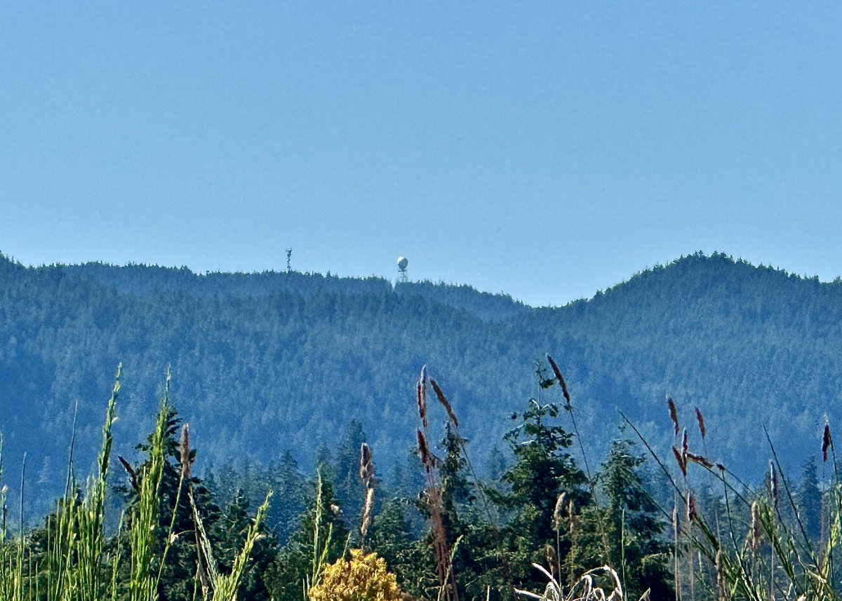 RyanVoutilainen's tweet photo. Found it! #CASHP - newly installed @environmentca #HalfmoonPeak #radar and the nearby tower that causes interference & “laser light show” on images.
📡🌧️⛈️🌪️🌬️
#BCwx #BCstorm #SunshineCoast https://t.co/w6PYVAzBWD