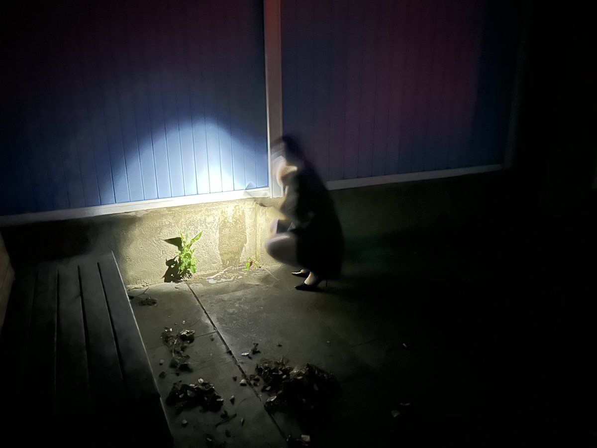 dnlnfkln62's tweet photo. 某人刚给路边的小草施过肥，我转身偷偷摸摸的蹲下。
“你在干嘛”
“我要舔你的尿尿”
“不行！”
“舔到了！！！！（无敌开心！！）”
“…你晚上不要亲我” https://t.co/TiQksULMoH