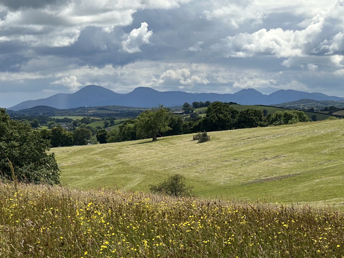 HezTalk's tweet photo. The Mourne Mountains in the distance from @NationalTrustNI Rowallane Garden
#sunday #rowallane #northernireland https://t.co/NtJyaLFN5B