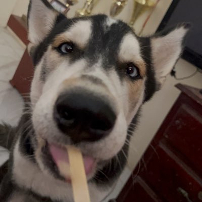 benavidesnicol9's tweet photo. #NuevaFotoDePerfil https://t.co/qS4T39fLoG