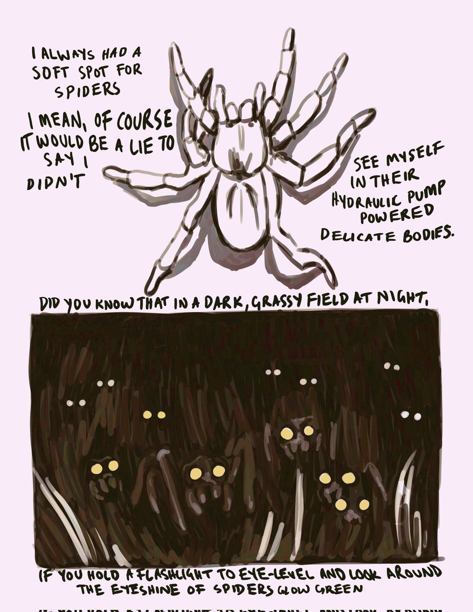 ARACHNOPHOBIA: or, my thoughts on how being a lesbian is a lot like being a brown recluse spider, actually!
1/2 