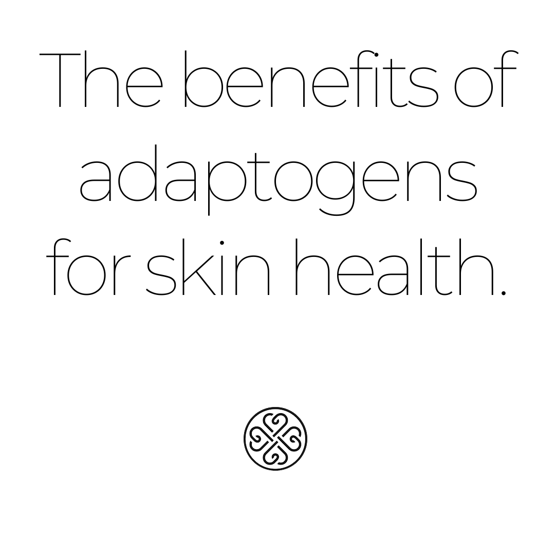 Adaptogens are natural substances typically derived from plants and herbs that help the body resist stressors of all kinds, whether physical, chemical, or biological. In skincare, adaptogens have been increasingly popular due to their potential to improve skin health.