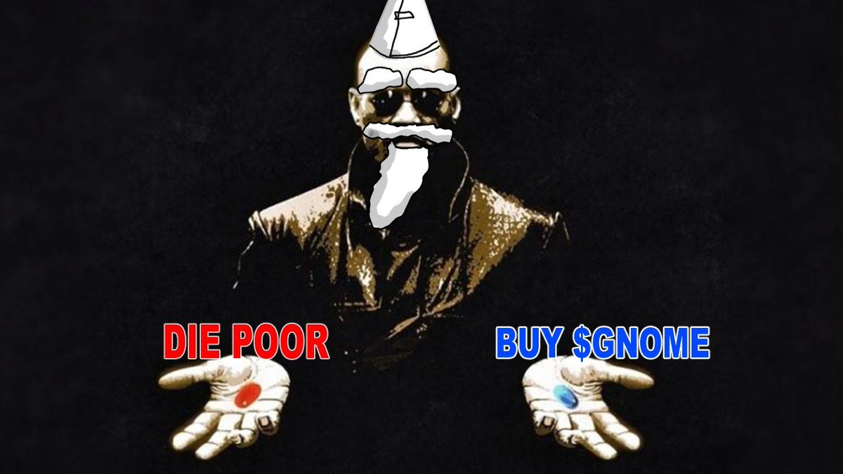crawlyerc20's tweet photo. Your choice. #CRAWLY $GNOME https://t.co/NepbqtJfA0