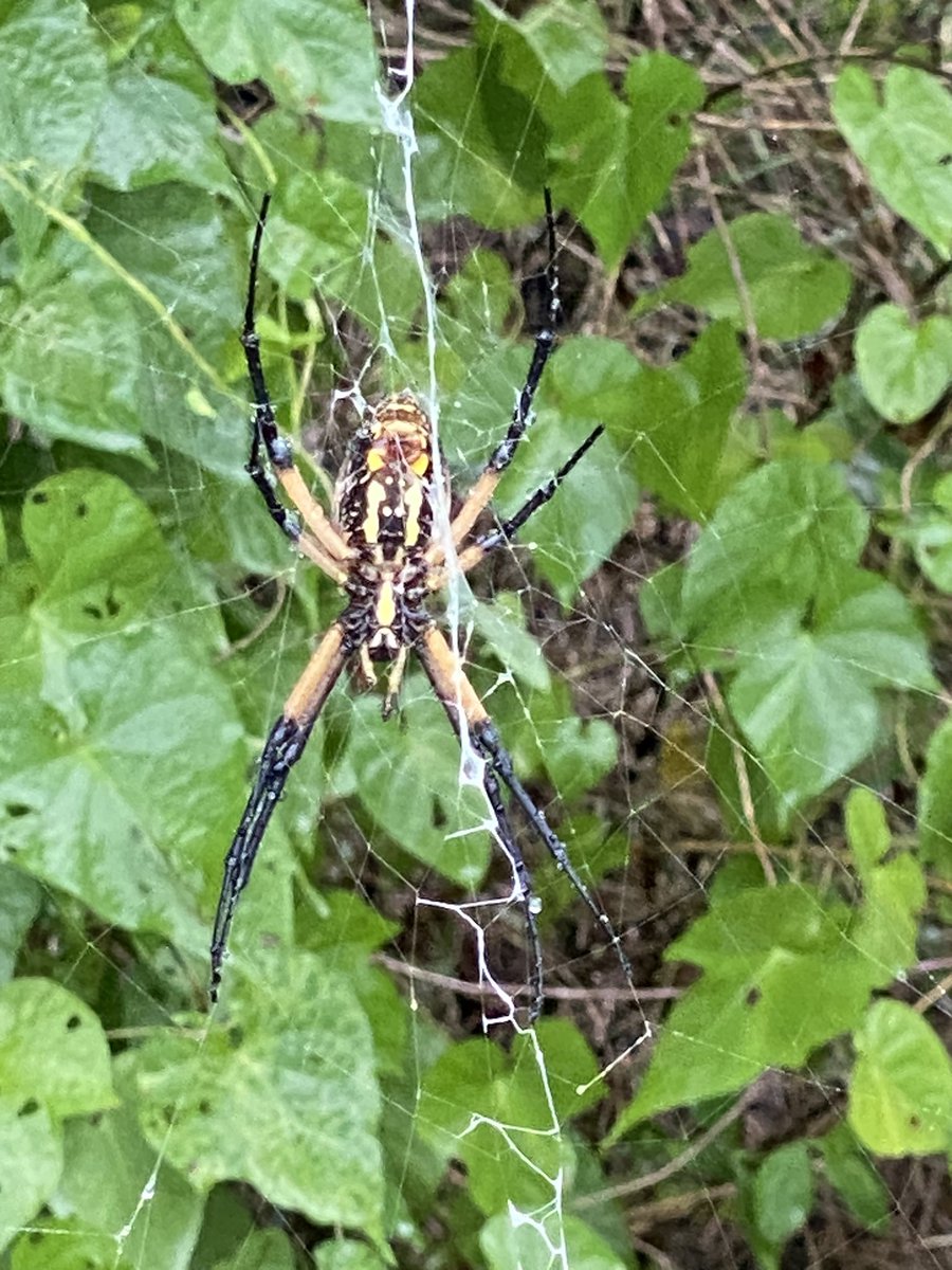 Michelle tweet media