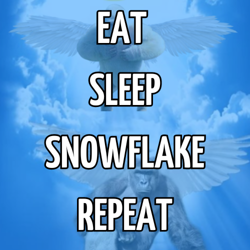 $SNOW tweet media