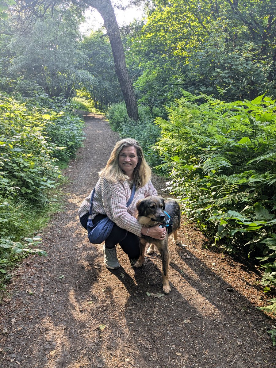 OldArrowsmith's tweet photo. This summer is all about our new dog, Mojo. We have two teenagers and a grumpy rescue cat, so adopting a dog was tricky. With the help of Love4dogs rescue, we found our Mojo. #adoptdontshop #rescuedog #heinz57 https://t.co/WBPKgFswxi