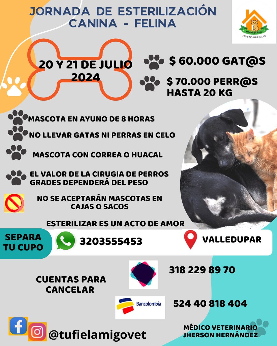IvethIsabel's tweet photo. #valledupar Jornada de #ESTERILIZACION a bajo co$to🐾 20 y 21 de Julio https://t.co/40ha0P7xHI