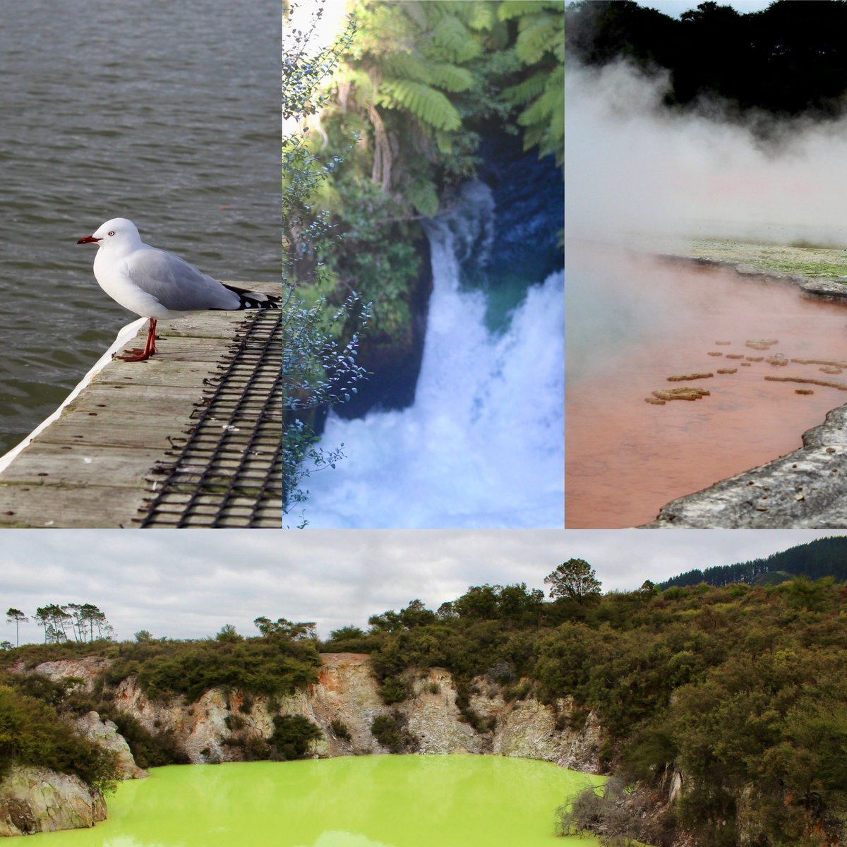 Had a wonderful two week break in New Zealand with <a href="/alisondowdney/">Alison Dowdney</a> recently, exploring Rotorua and disconnecting for a bit.