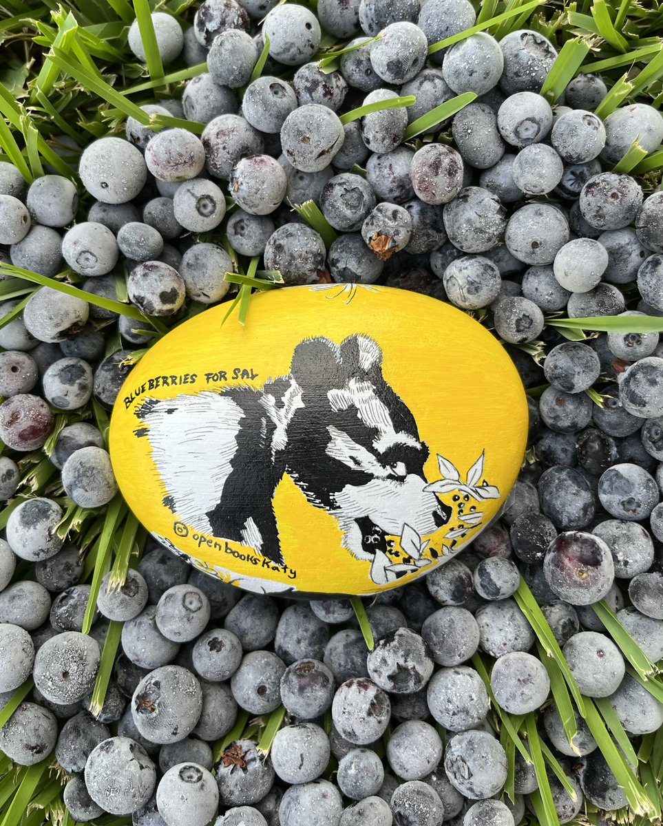 ZHEbuzz's tweet photo. 48: #BlueberriesForSal by #RobertMcCloskey Hidden in a cubed hedge as of 5:05 PM 07/07/24.  #rockart  #paintedrock #readingrocks #rockart #katytx #rockhunt #summerreading #childhood #kindnessrocks #caldecott #bear #blueberries https://t.co/MaImOI6nbH