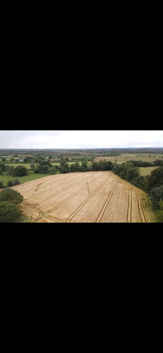 Conall Moore tweet media