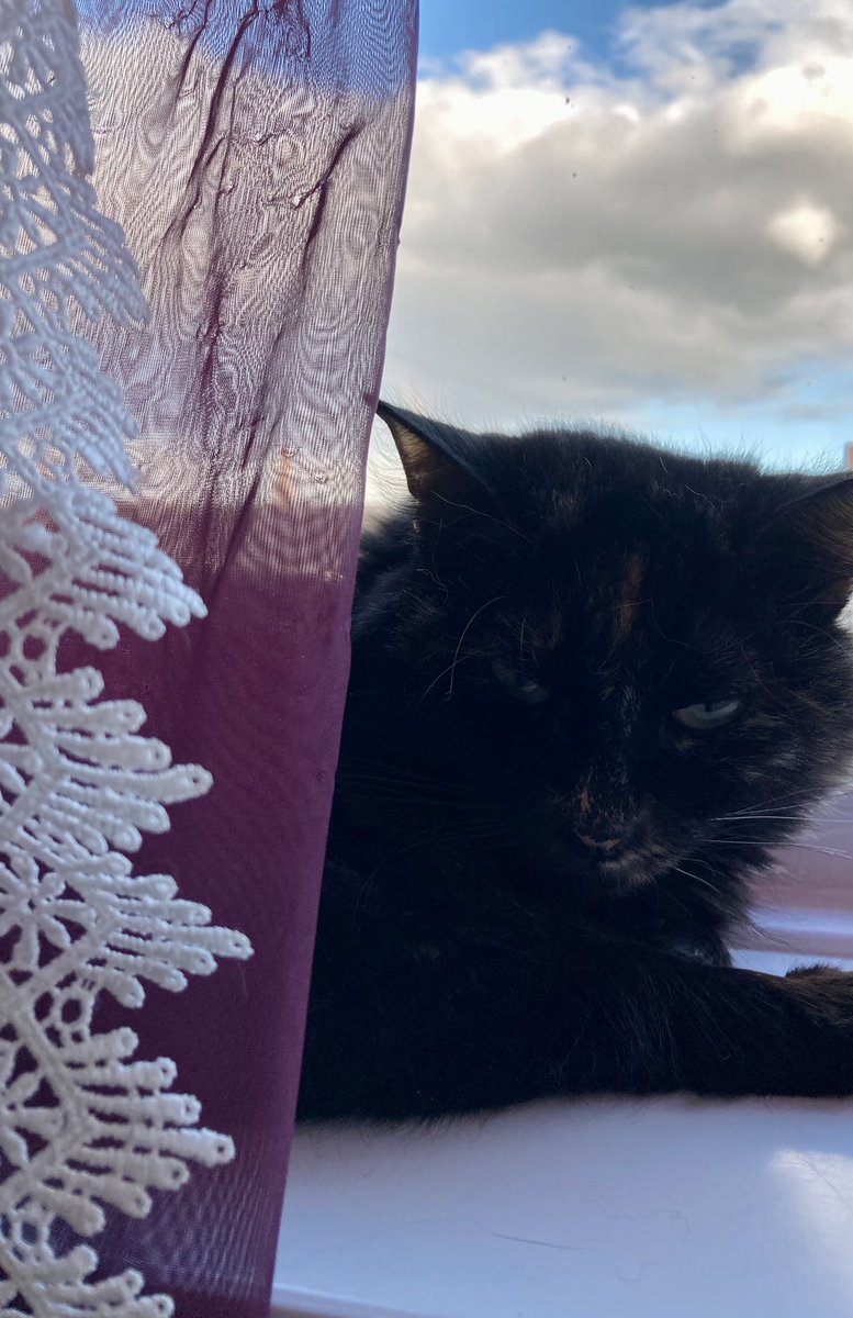 madeleinemaste4's tweet photo. My pip #Squeaka
restin up.
Sunday evening
chez moi https://t.co/YU8dt620Cy