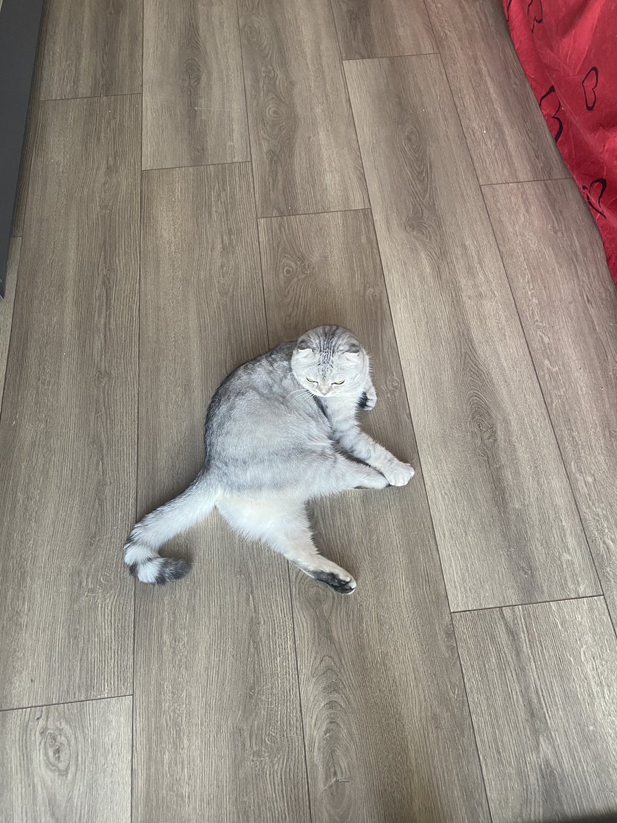 Erkek milletine çok yüz vermicen kanzi ya