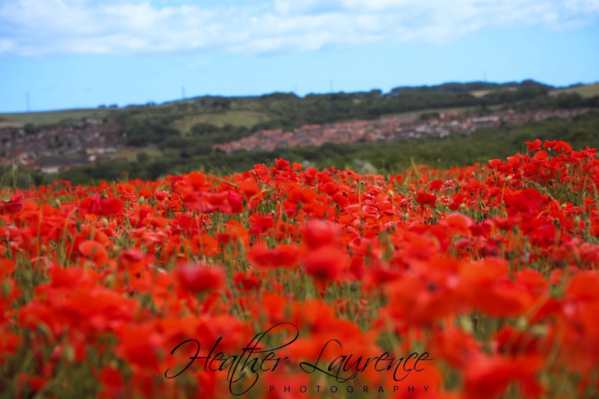 FOCUS on The North East tweet media