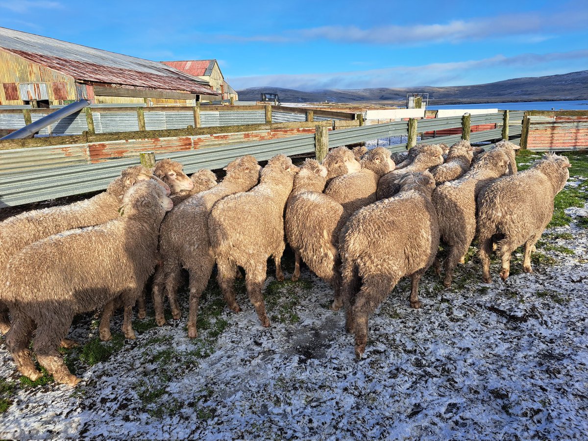 Hew Grierson tweet media