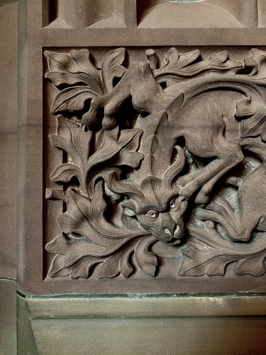 Meritxell R. de la Torre tweet media