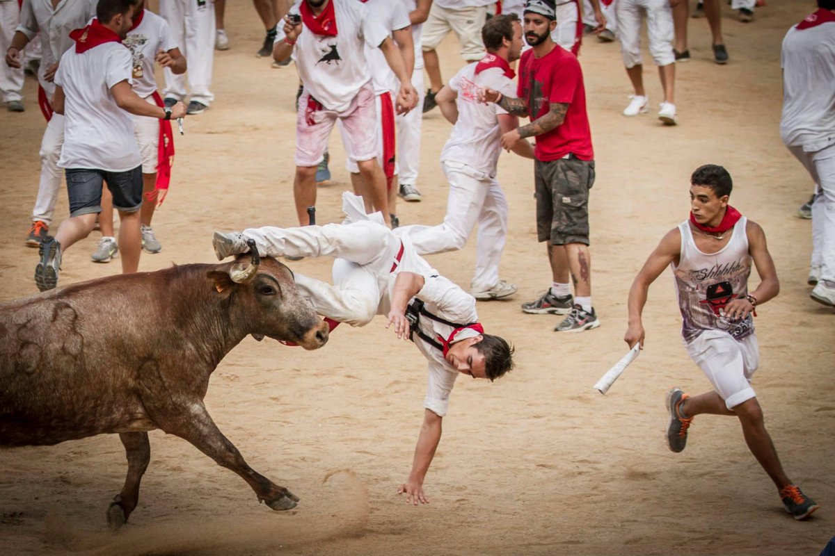 Exithamster tweet media