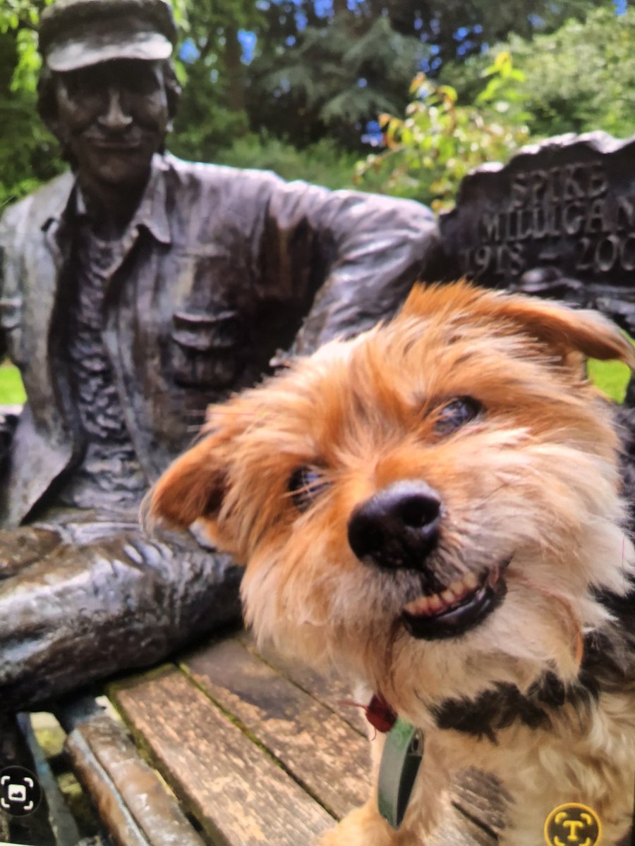 Spike Milligan tweet media