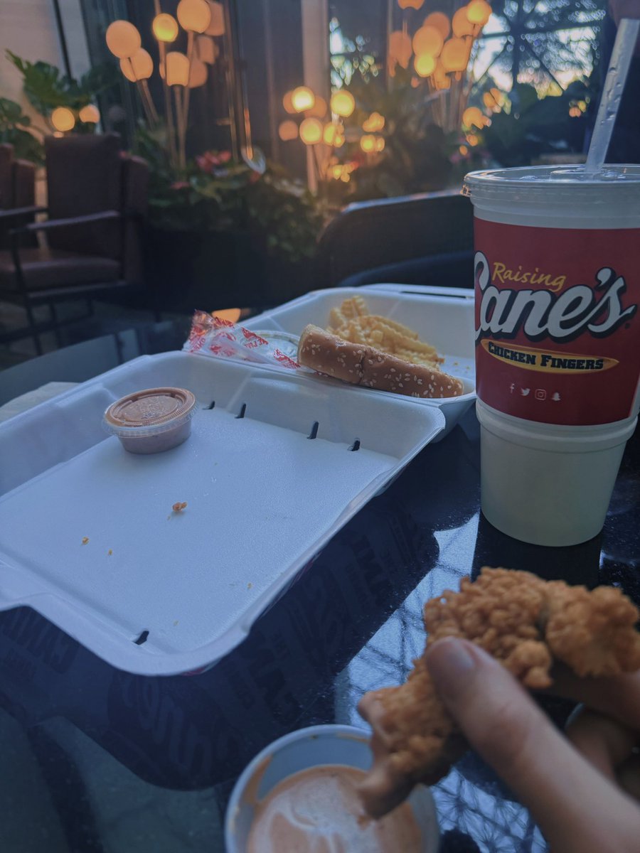 it’s insane how beautiful life can be