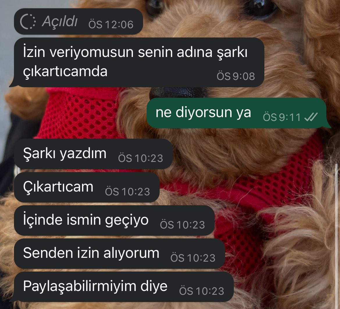 yazmak isteyen bir sekilde yaziyor ya
