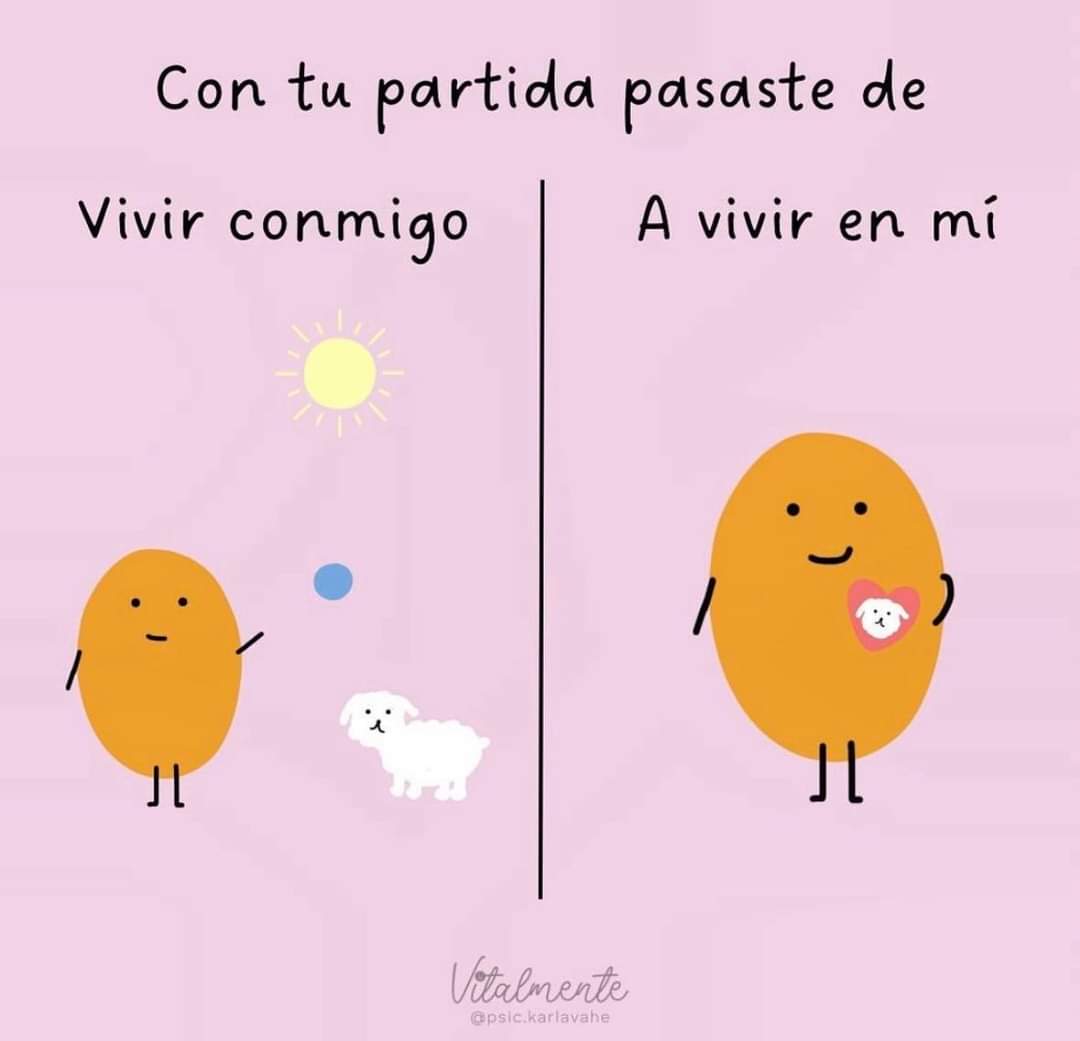 Totalmente 🌈 🐕🐕🐈