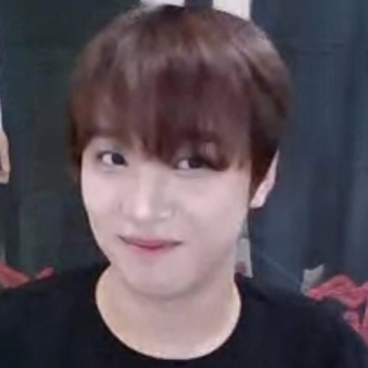 sonny angel couple sungchan and haechan