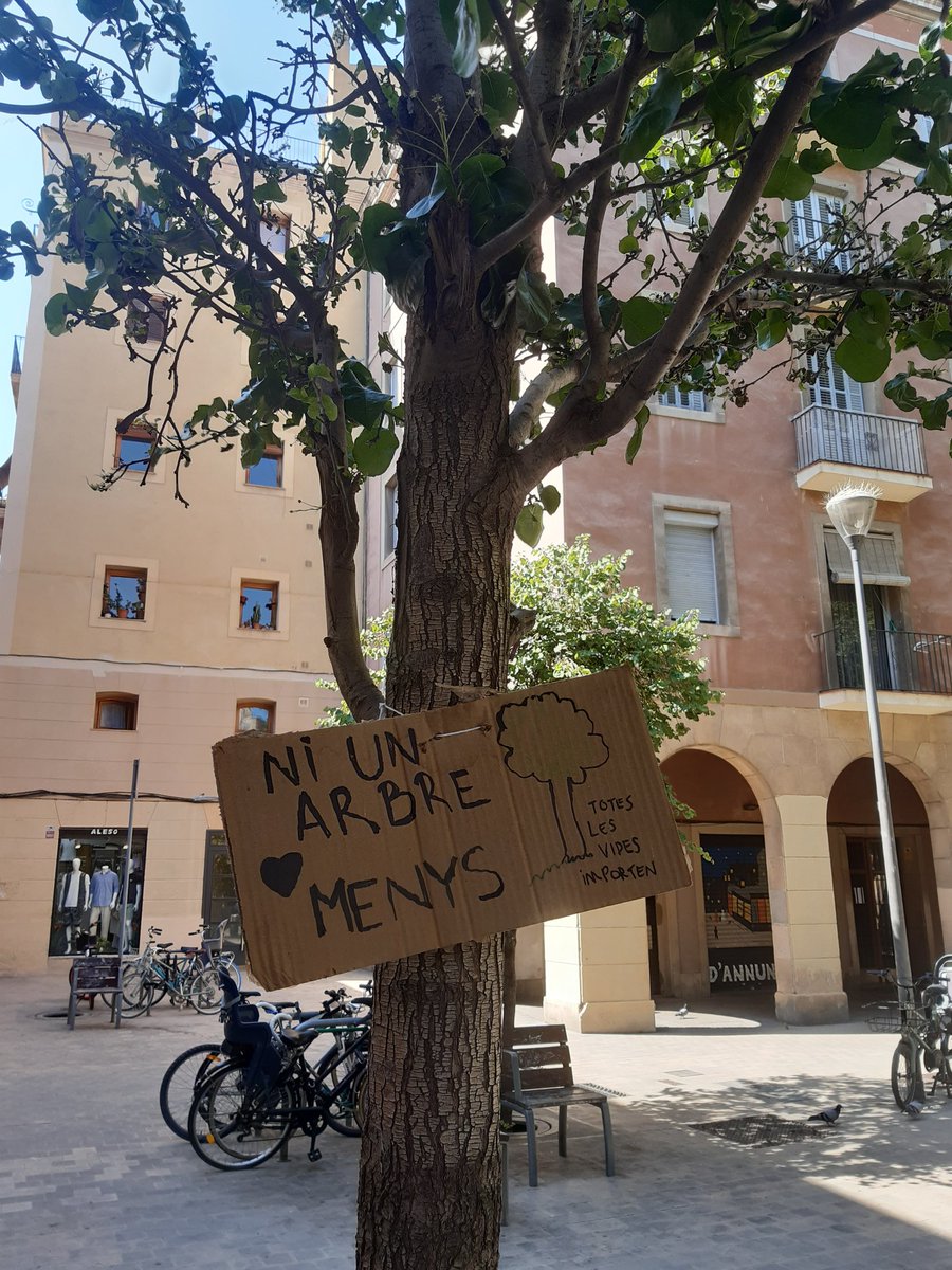 isabelrozey's tweet photo. @bcn_ajuntament https://t.co/Cw2ym0a7ic