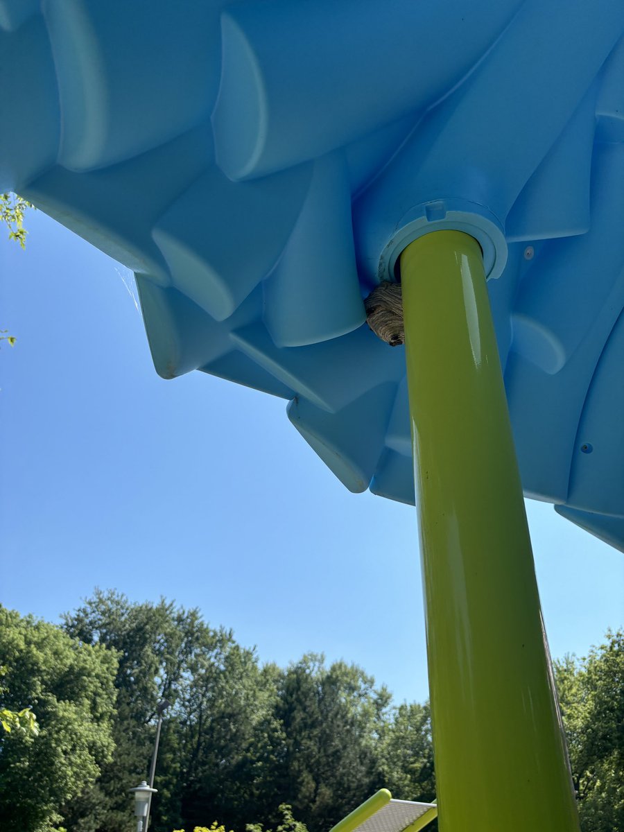 Jack in the Box tweet media