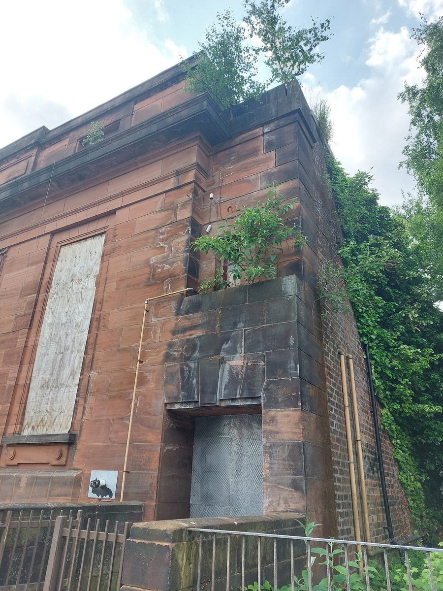 SGHETorg's tweet photo. The buddelia / buddleja has really taken hold this year, especially notable on Frankfort St end of the former Waverley Picture House. The upper stone furthest right looks set to be the first to topple &amp; what's happening inside... India Buildings mark two? https://t.co/8sSDqiVPTG https://t.co/Tg1pwoX6sA