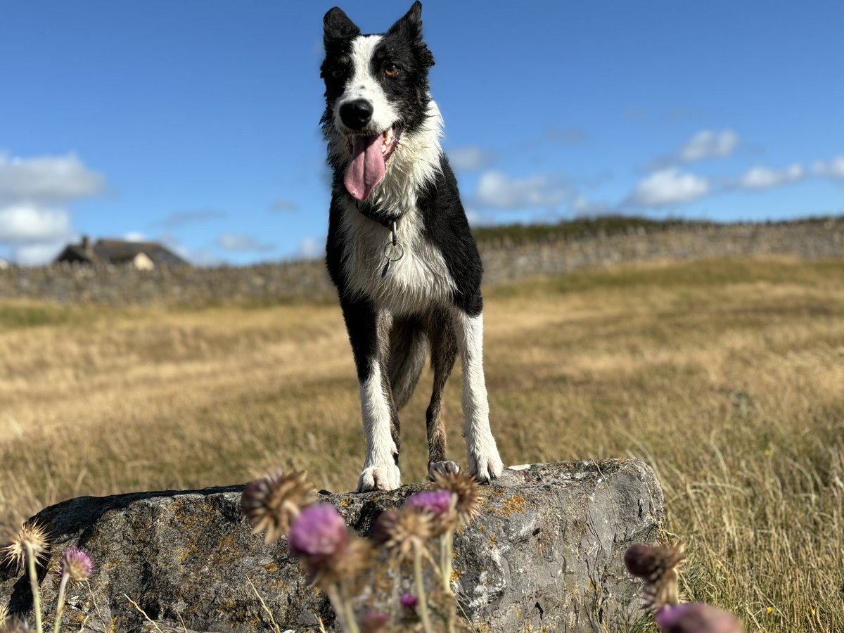 Adventuring with my bestest girl 🐾 ❤️