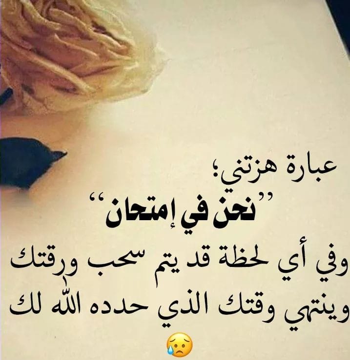 هيبه tweet media