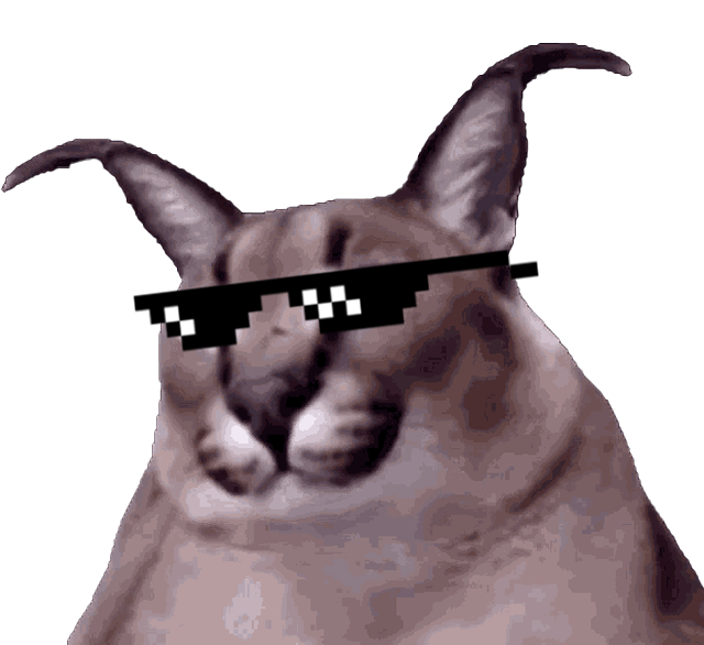 MaxGamerFun tweet media