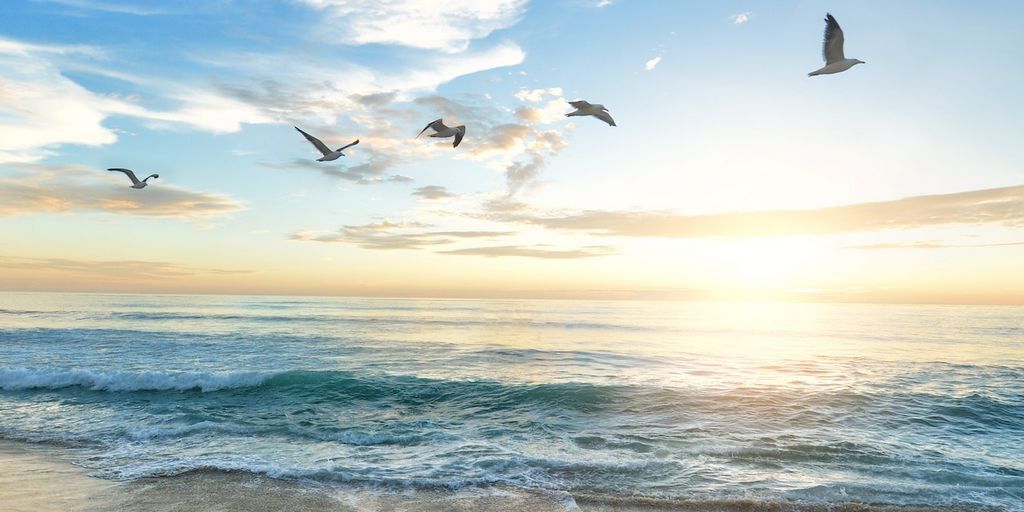 BookomeNews's tweet photo. 10 Simple But Effective Ways to Use Positive Visualization to Reduce Stress https://t.co/AD0LUo9B4s #PositiveVisualization #StressReduction #PersonalGrowth #SelfCare https://t.co/iyqEYd67s2