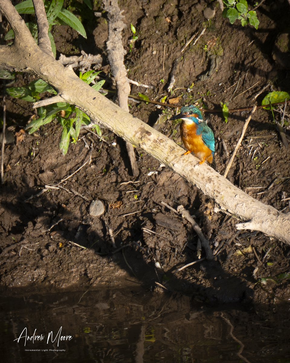 As it is the hope of reward that sweetens labour.  A great end to day. Golden hour fishing and no permit required.