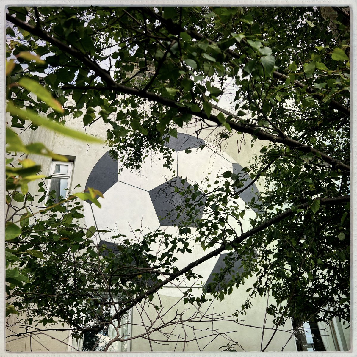 Lizzie Coombes tweet media