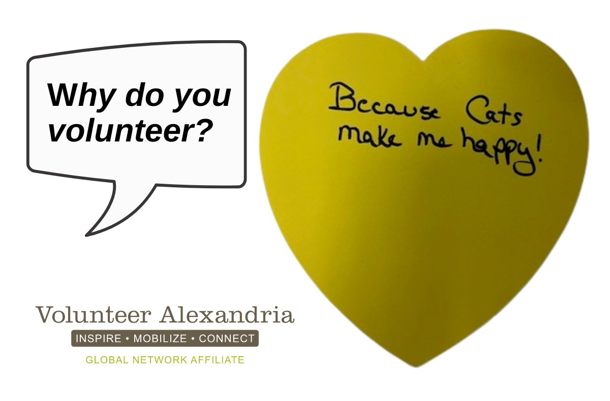 What makes you happy? Is it being around cats and dogs?  Does being outdoors bring you happiness? Or do you enjoy connecting with people?  Whatever makes you happy, there's a volunteer opportunity right for you! #VolunteerALX Search our opportunities at bit.ly/4e8Z4np