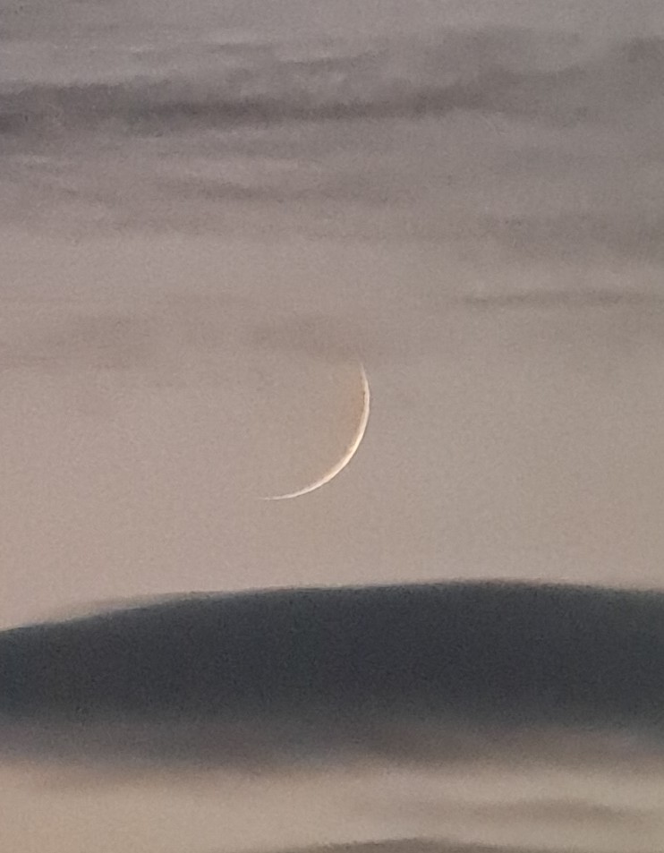 mark stuart tweet media