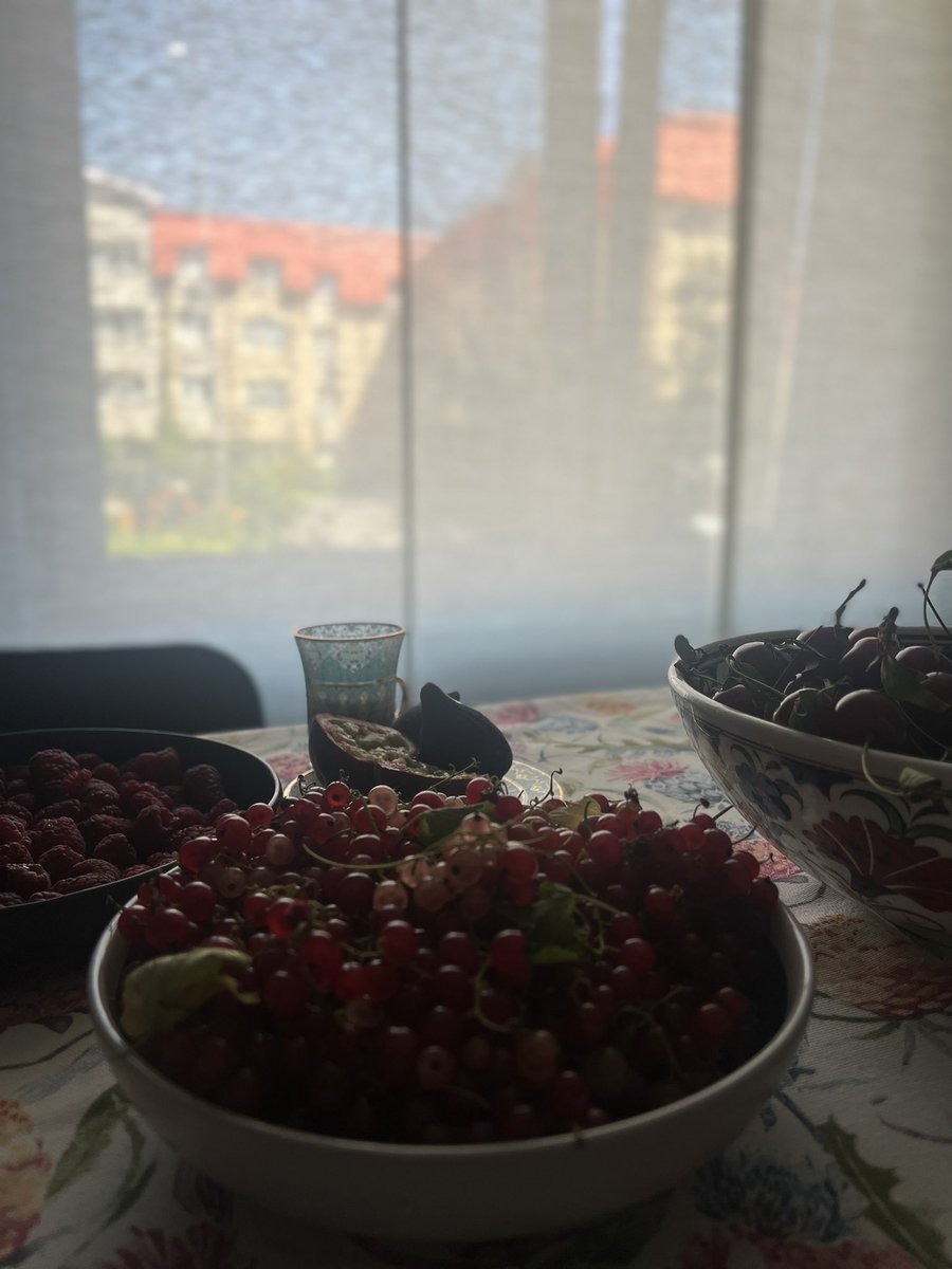 MarinaShmaneva's tweet photo. Вкус моего лета.. Это что-то из детства вишня с бабушкиного дерева, красная смородина с м��миной дачи и инжир с кофе из турецкой чашки.. https://t.co/IyYgATeuKt