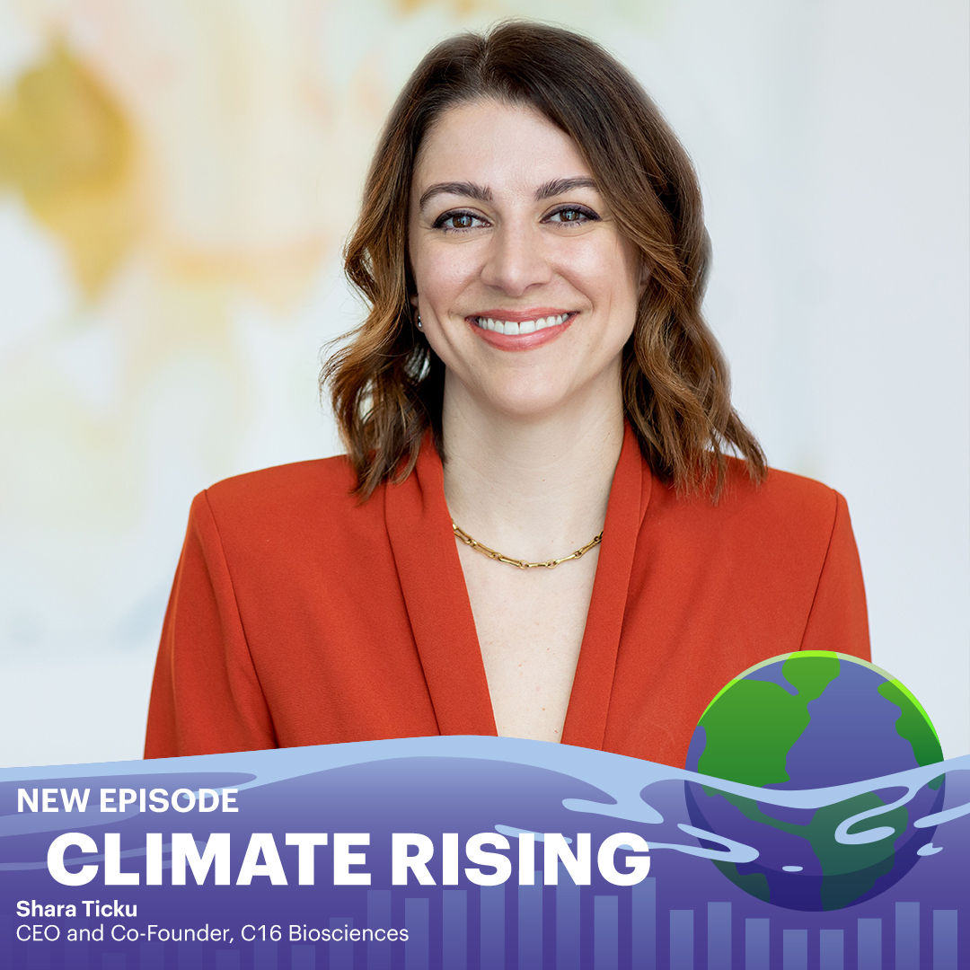 Mike Toffel (@miketoffel) on Twitter photo New <a href="/Harvard/">Harvard University</a> #ClimateRising podcast: Shara Ticku CEO <a href="/C16Bio/">C16 Biosciences</a> on #biotech tackling palm oil’s environmental impacts with #Palmless🌱
Palm oil = 2% GHG emissions; instead, use microorganisms as factories!
link.chtbl.com/aaPx1iN4
#PalmOil #ClimateTech #Sustainability <a href="/HarvardHBS/">Harvard Business School</a> New <a href="/Harvard/">Harvard University</a> #ClimateRising podcast: Shara Ticku CEO <a href="/C16Bio/">C16 Biosciences</a> on #biotech tackling palm oil’s environmental impacts with #Palmless🌱
Palm oil = 2% GHG emissions; instead, use microorganisms as factories!
link.chtbl.com/aaPx1iN4
#PalmOil #ClimateTech #Sustainability <a href="/HarvardHBS/">Harvard Business School</a>