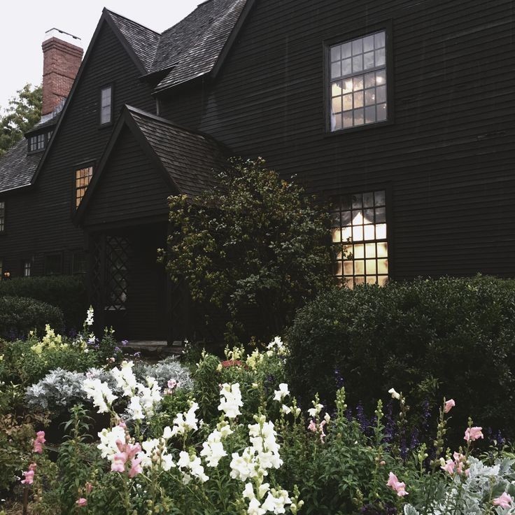 ─── 𖦹 ࣪ ۪ ☆ 𝐑̸ecomenᑯaci𝒪n𝗲ֺ︬s de ℘elícul𝗮͟s en 𝐍̸̲e𝘁︩︪ׄflix !! (´,,>ω<,,`)♡