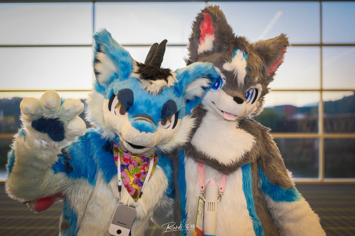 Bitt Fish (@data_dolphin) on Twitter photo Was such a fun con. I absolutely loved fullsuiting. Thank you <a href="/furmony/">楦胯悓閫犵墿/Furmony</a> for the amazing suit! Cant wait to wear it at my next con! #Anthrocon #Anthrocon2024 Was such a fun con. I absolutely loved fullsuiting. Thank you <a href="/furmony/">楦胯悓閫犵墿/Furmony</a> for the amazing suit! Cant wait to wear it at my next con! #Anthrocon #Anthrocon2024