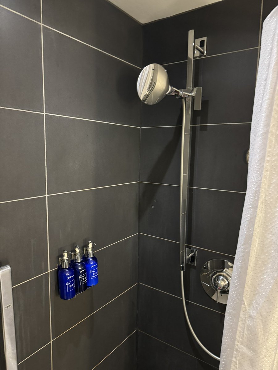 sue_acton's tweet photo. Staying in a @RadissonHotels 'accessible' room. The kettle is on a table at standing shoulder height. The shower head looks like this, I can just reach - standing - to fix it. I provided feedback on these and other things last time I stayed, nothing has changed #DoBetter https://t.co/BgO1nI0Xgi